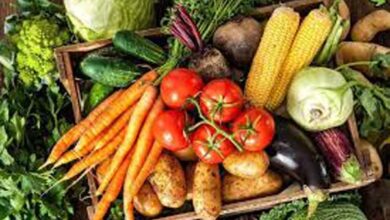 Health Tips: इन सब्जियों में छिपा है सेहत का खज़ाना, बीमारियों से बचना है तो सर्दियों में इसे जरूर बनाना