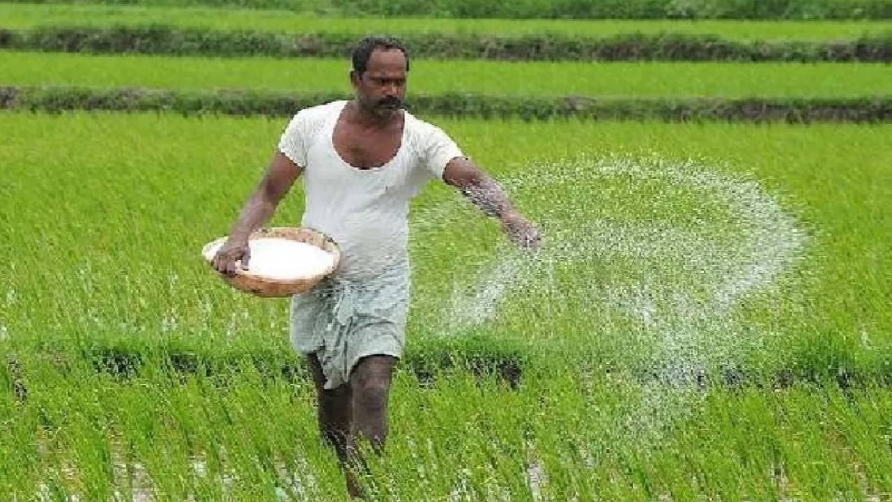 किसानों को मोदी सरकार ने नए साल पर दिया बड़ा तोहफा, और भी सस्ती हो गई खाद, DAP पर बढ़ाई गई सब्सिडी