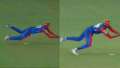 best catch of the day, Delhi Capitals VS Hyderabad,ipl 2025