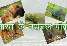 Must-Visit National Parks In India,Best national parks to visit in India ,Gir National Park, Talala Gir, Gujarat,Ranthambore National Park, near Sawai Madhopur, Rajasthan,Kanha National Park, Madhya Pradesh,Jim Corbett National Park, Nainital District, Uttarakhand,Sundarbans National Park, West Bengal,Kaziranga National Park, Golaghat and Nagaon districts, Assam