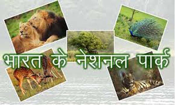 Must-Visit National Parks In India,Best national parks to visit in India ,Gir National Park, Talala Gir, Gujarat,Ranthambore National Park, near Sawai Madhopur, Rajasthan,Kanha National Park, Madhya Pradesh,Jim Corbett National Park, Nainital District, Uttarakhand,Sundarbans National Park, West Bengal,Kaziranga National Park, Golaghat and Nagaon districts, Assam