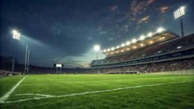 IPL 2025 Schedule: 22 मार्च से शुरू होगा आईपीएल का धमाकेदार महासंग्राम, उद्घाटन और फाइनल मैच कोलकाता के ईडन गार्डन्स में