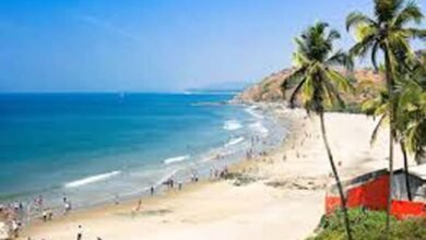 Goa Beaches: हनीमून पर पार्टनर संग गोवा के इन रोमांटिक बीचों की करें सैर