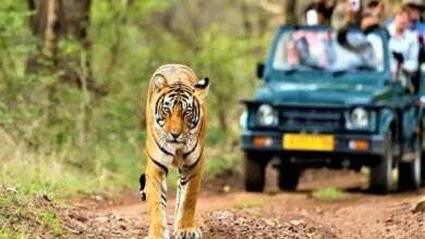 Top 5 National Park