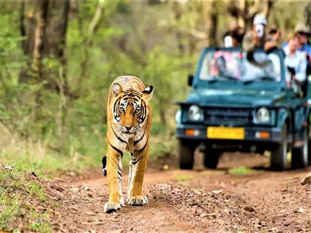 Top 5 National Park