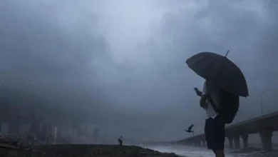 Heavy Rain Alert
