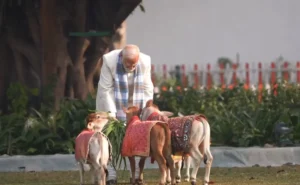 आस्था, संस्कृति और प्रकृति का संगम… मकर संक्रांति पर पीएम मोदी की गौ-सेवा…तस्वीरों ने देश का दिल जीत लिया…